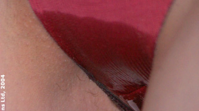 Set_d2p-093