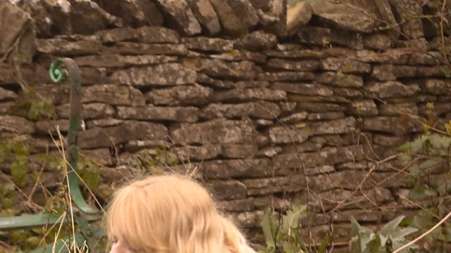 Set_d2p-149