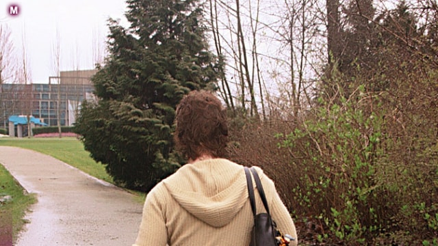 Set_danib-009