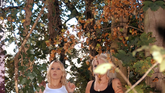 Set_harmonystravels-001