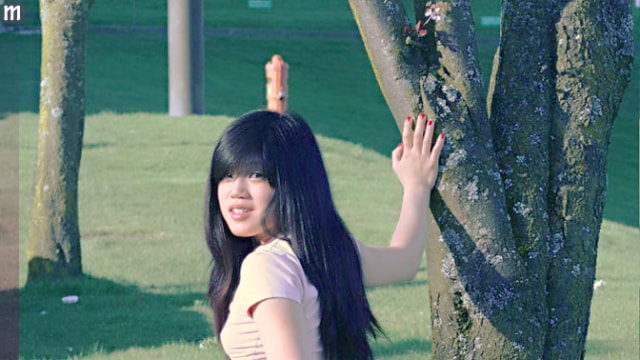 Set_mayc-001