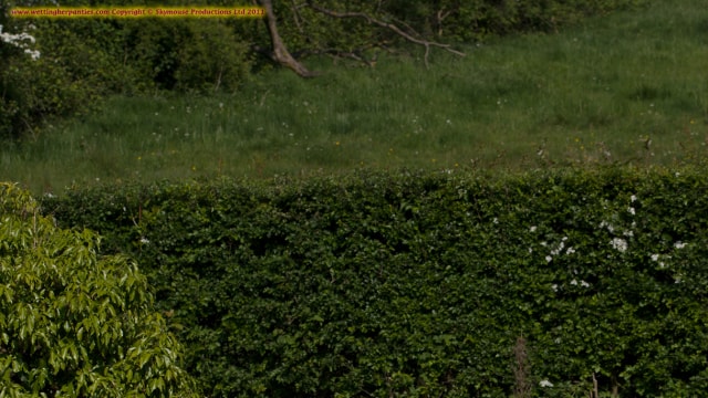 Set_nataliax-022