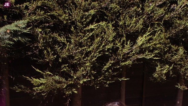 Set_riolee-009