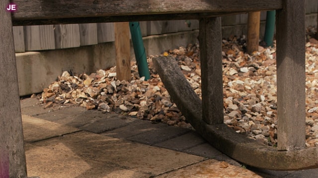 Set_robin-001