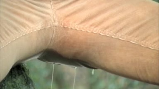 Video_wp0238