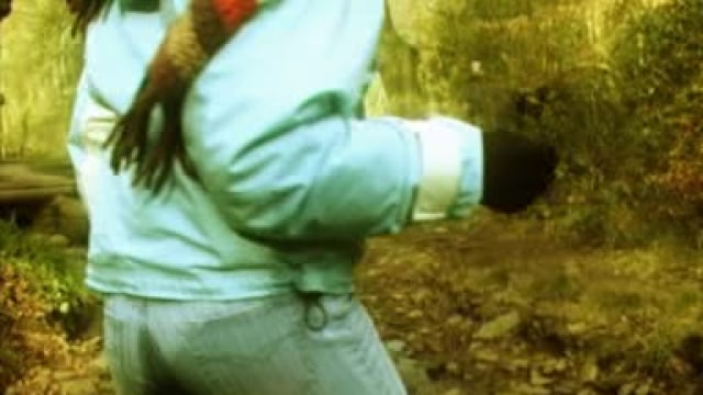 Video_wp0244