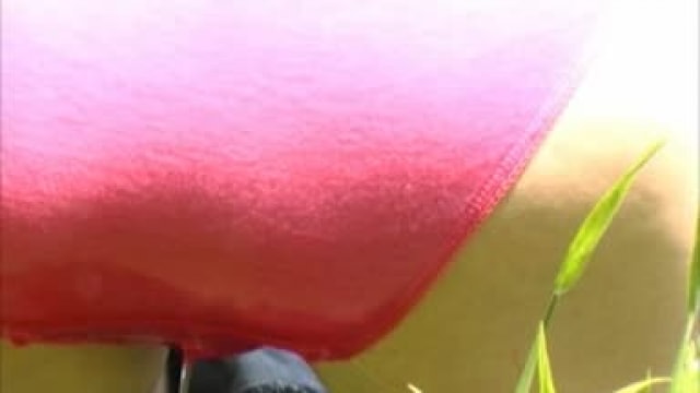 Video_wp0256