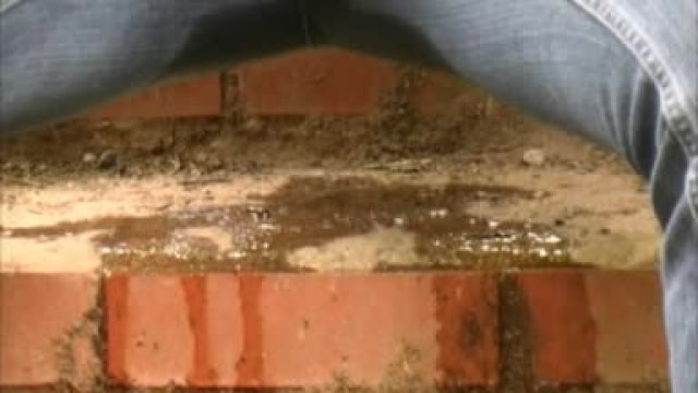 Video_wp0331