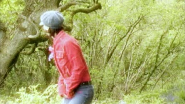 Video_wp0358