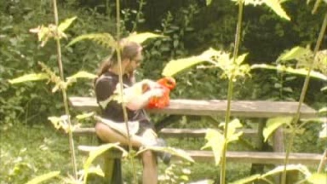 Video_wp0367