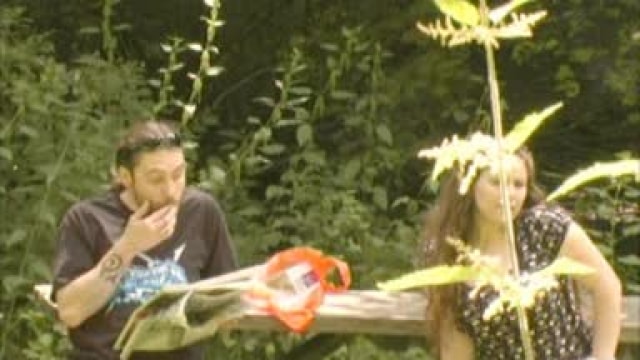 Video_wp0367