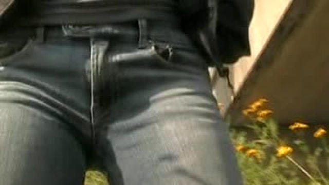 Video_wp0451