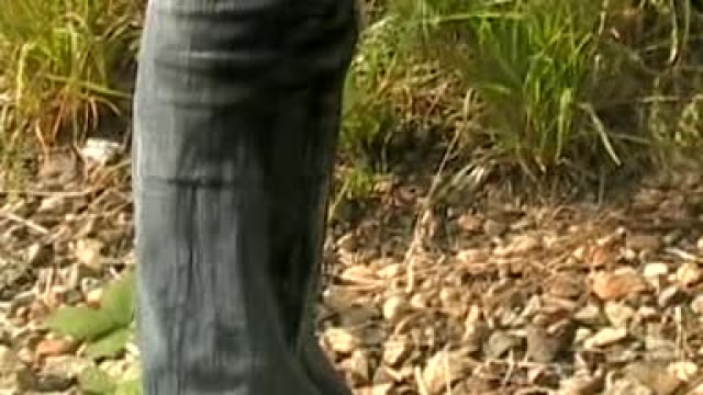 Video_wp0451