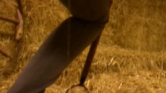 Video_wp0468