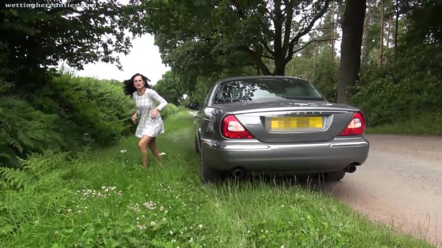 Video_wp1307