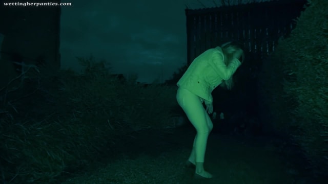 Video_wp1446