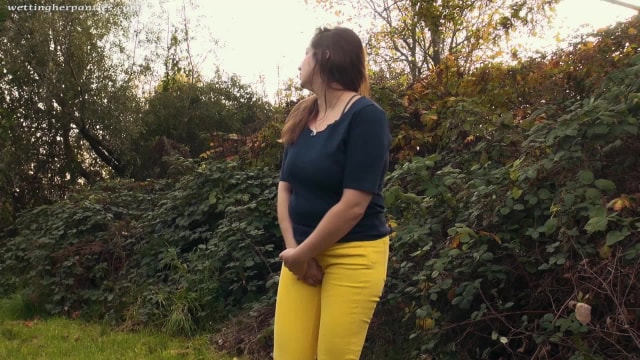 Video_wp1447