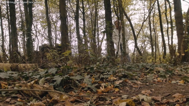 Video_wp1455