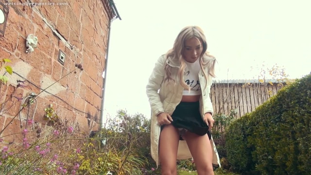 Video_wp1459