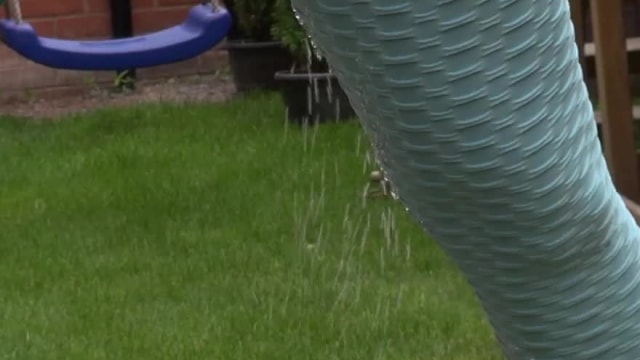 Video_wp1676