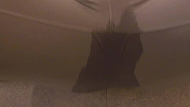 Video_wp2159